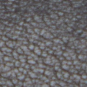 Walters - Image 8
