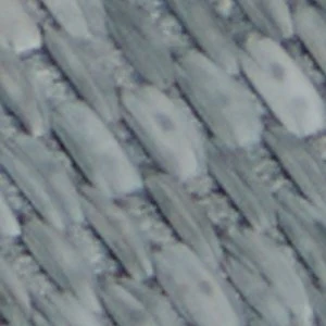 Wavysally - Image 8