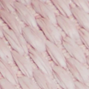 Wavysally - Image 8