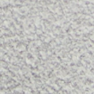 Whirl - Image 8