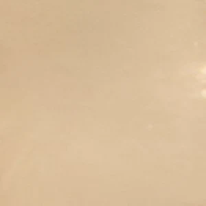 Whittney - Image 3
