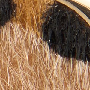 Wildchic - Image 3
