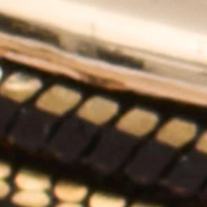 Wildora - Image 3