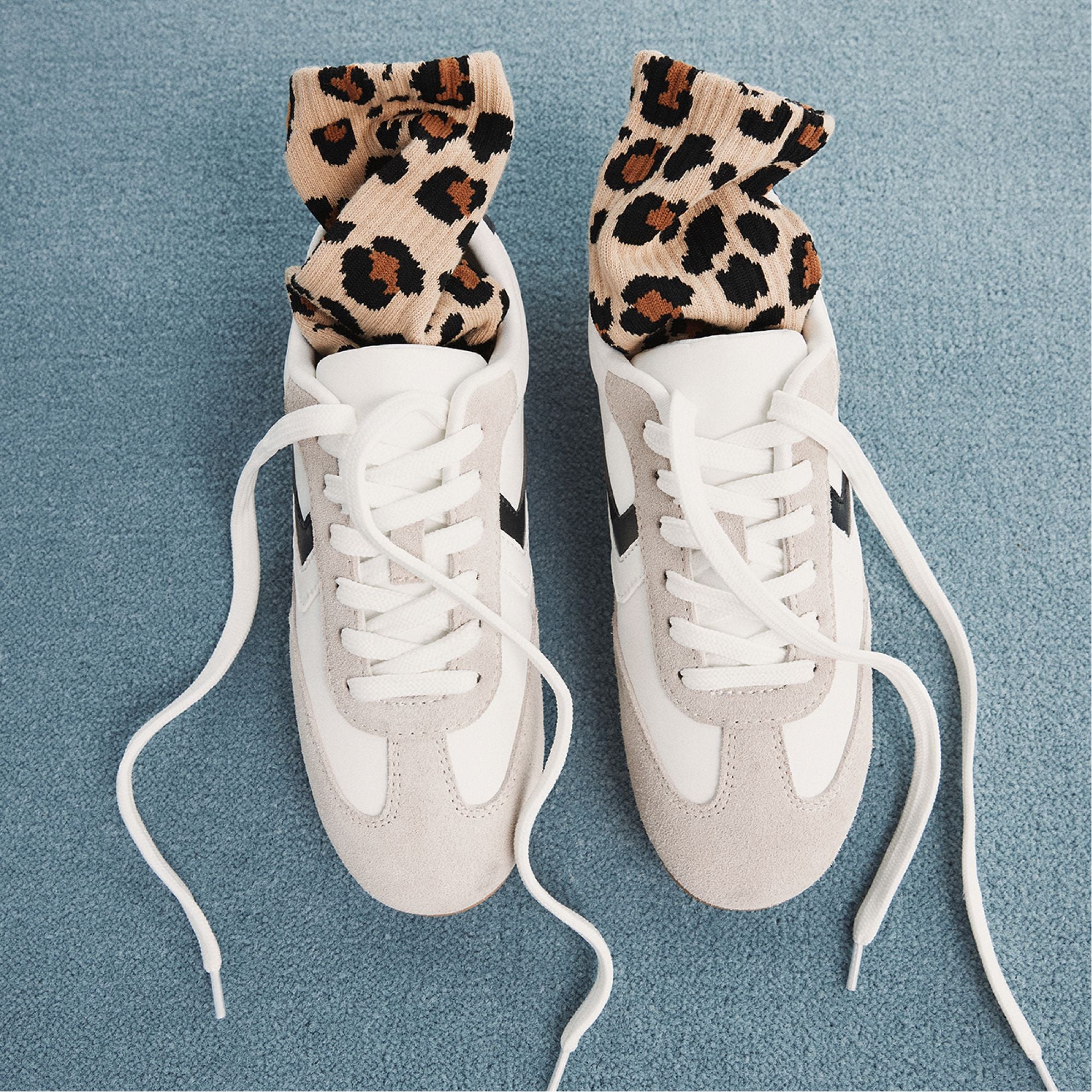 Wildpaws - Image 4