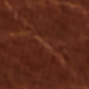 Wildwave - Image 10
