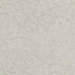 Xavier - Image 8