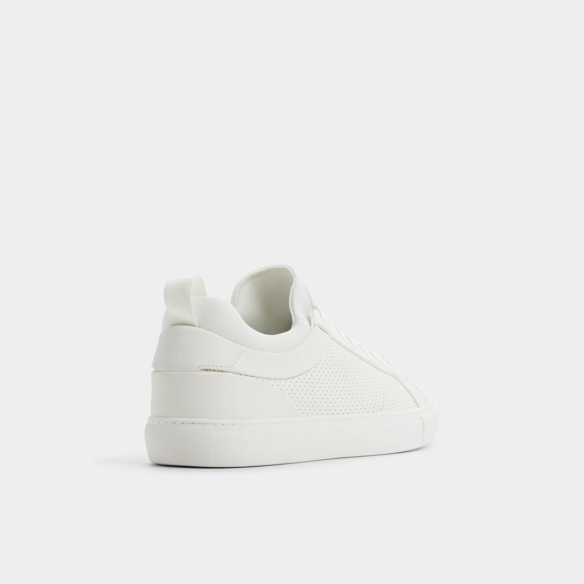 Xavier - Image 2