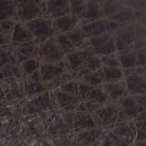 Zappa - Image 8