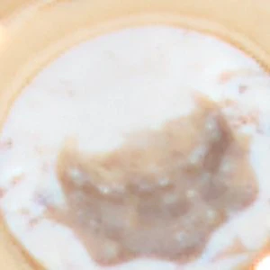 Zarinna - Image 3