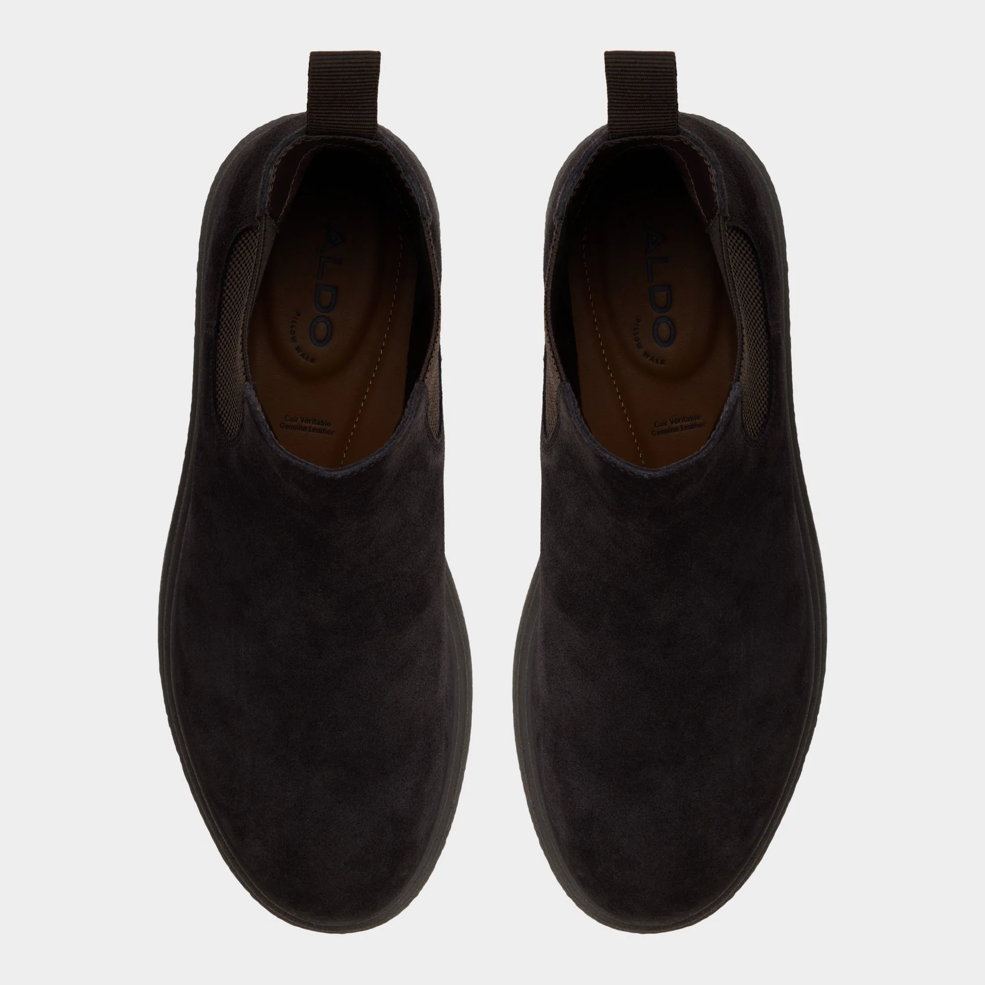 Zeddy - Image 6