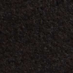 Zeddy - Image 9