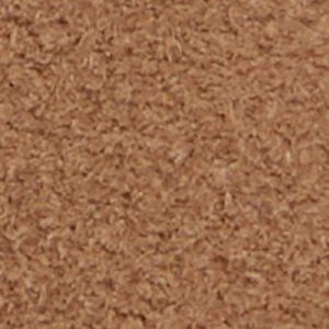Zeddy - Image 9