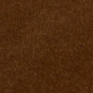 Zucca - Image 10