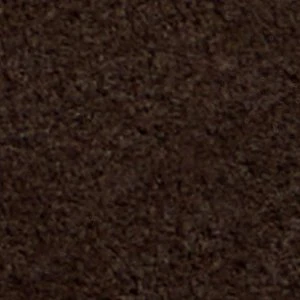 Zucca - Image 10